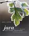 Java Software Solutions: Foundations of Program Design (6th Edition)