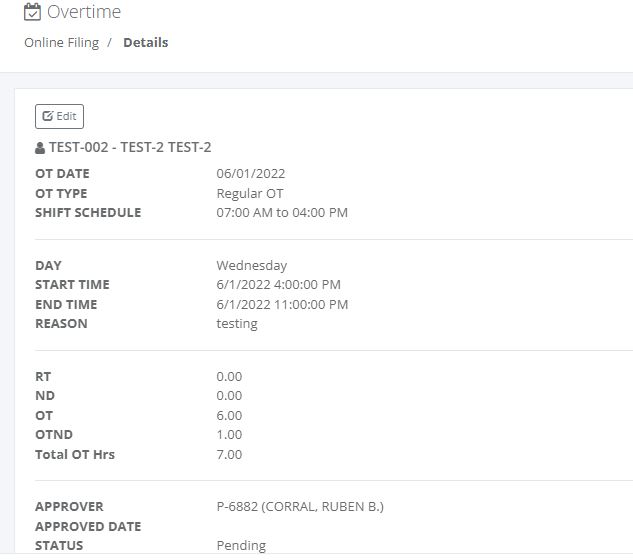 Online Filing: Overtime (details)
