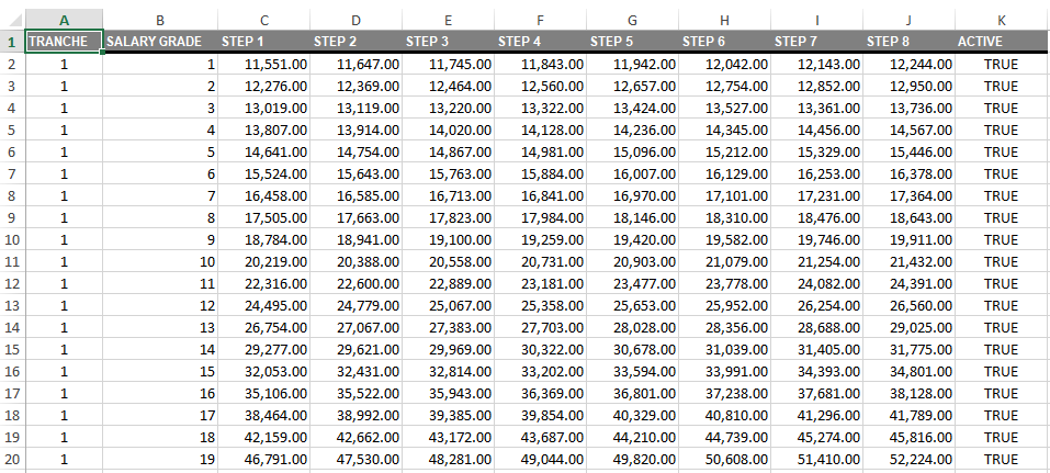 Maintenance: Government Salary Grade Export to Excel