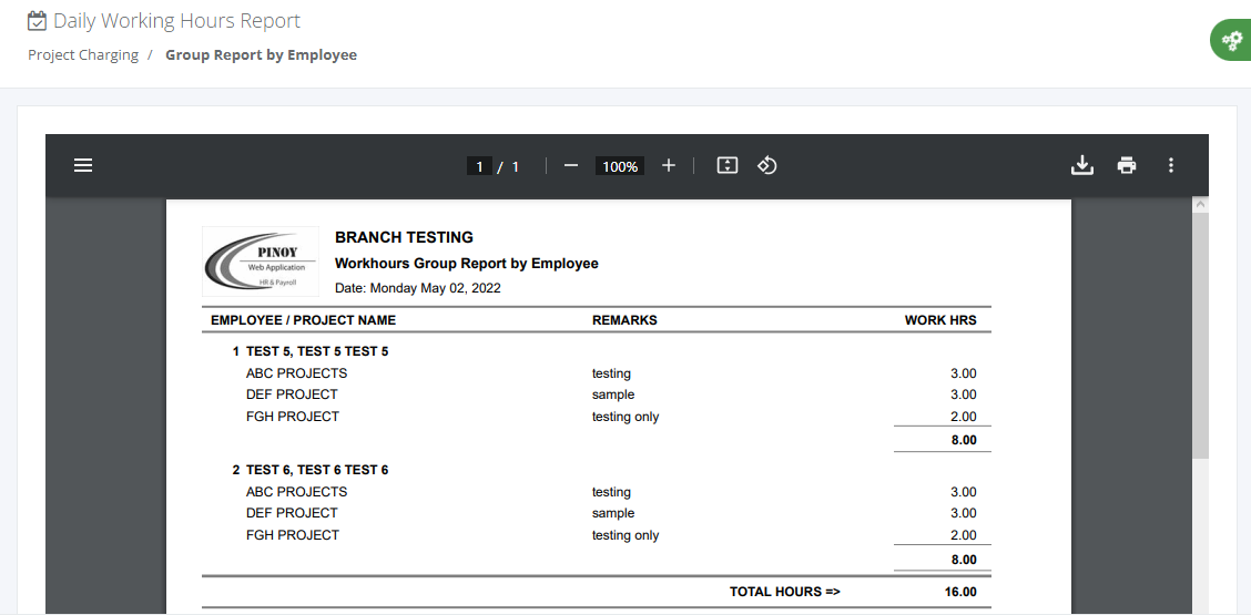 Project Charging: Daily Working Hours (report by employee)